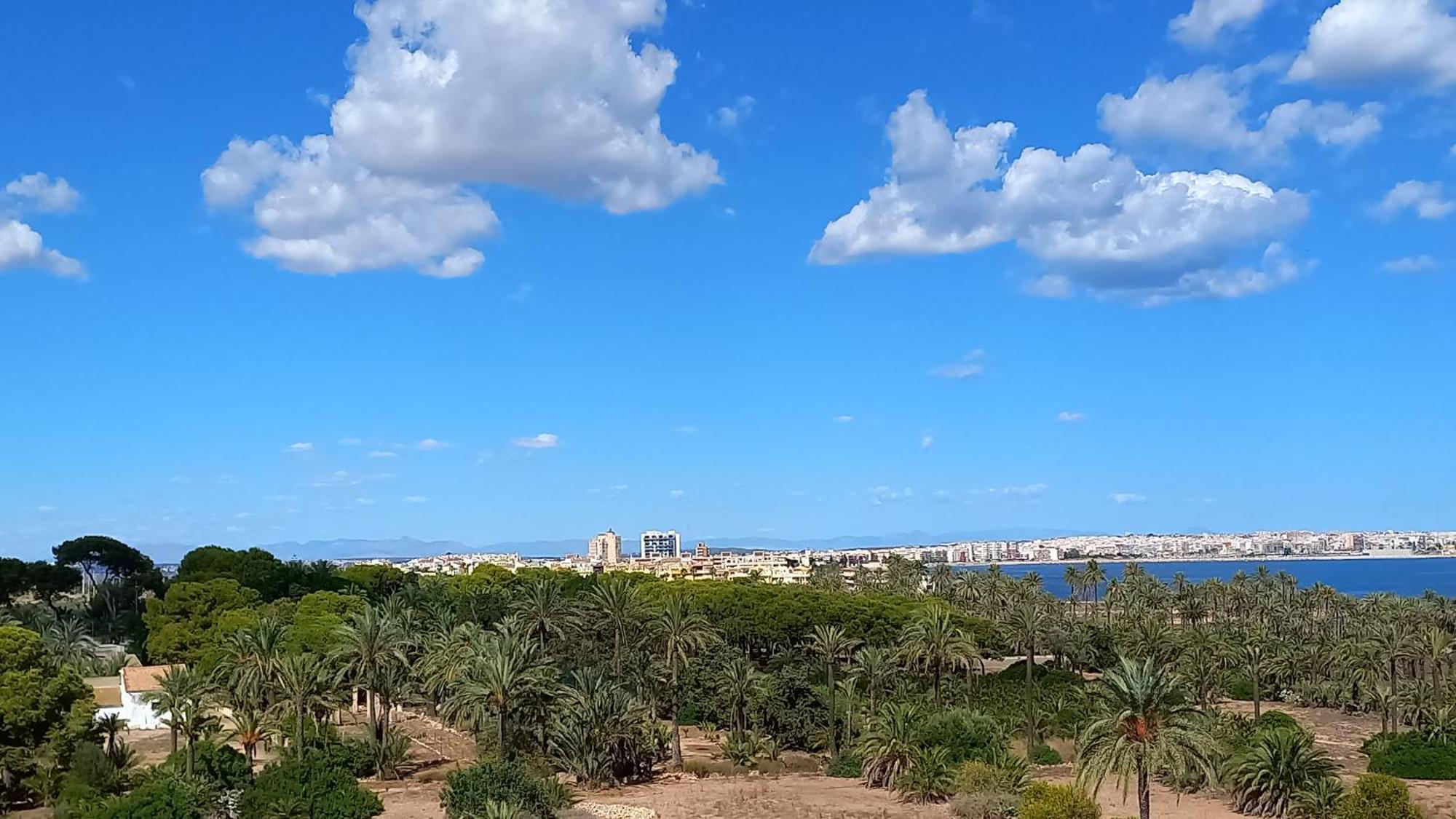 Appartement Punta Prima Torrevieja Fantazy01 Extérieur photo